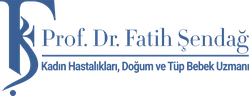 Fatih Şendağ